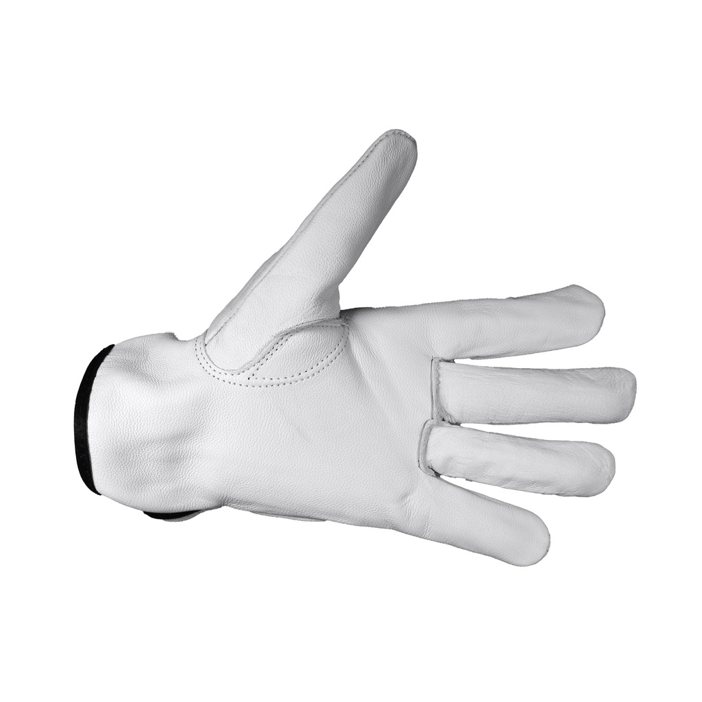 Assembly Goatskin Glove G110 ( White ) Stl 10