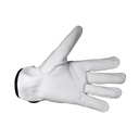 Assembly Goatskin Glove G110 ( White ) Stl 10