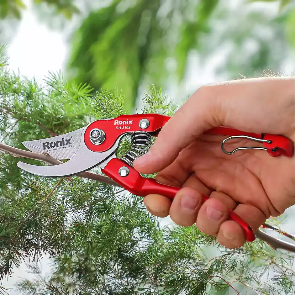 Pruning Shear-Sharp Model